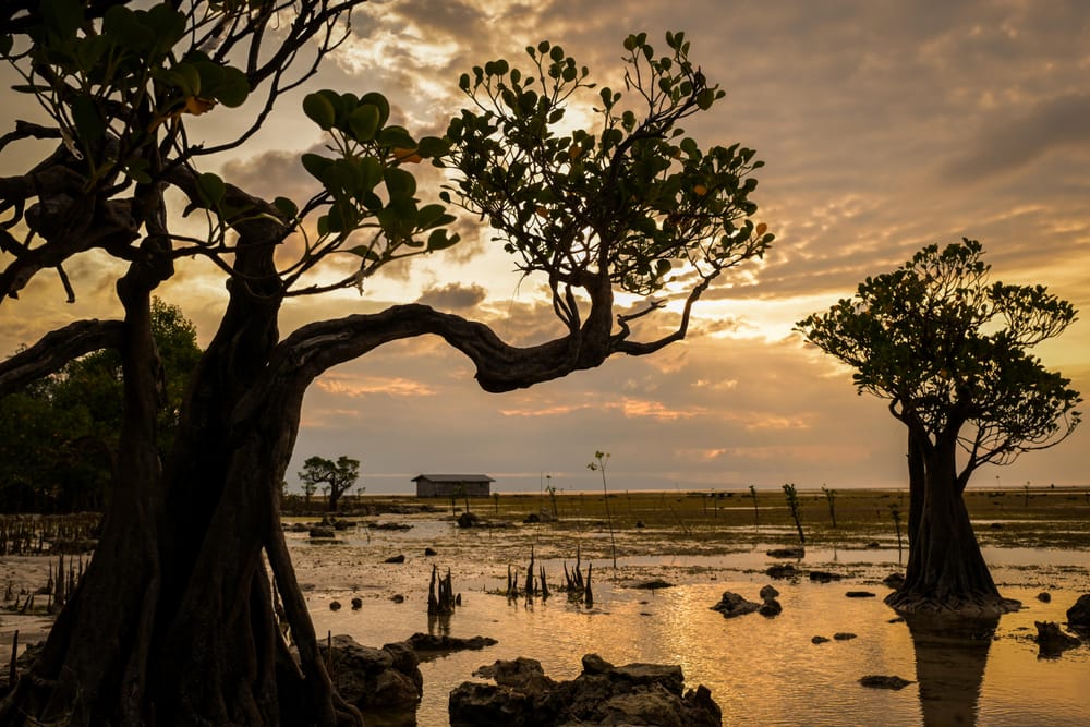 Hari Besar dan Libur Sekolah Dorong Lonjakan Wisata dan Belanja