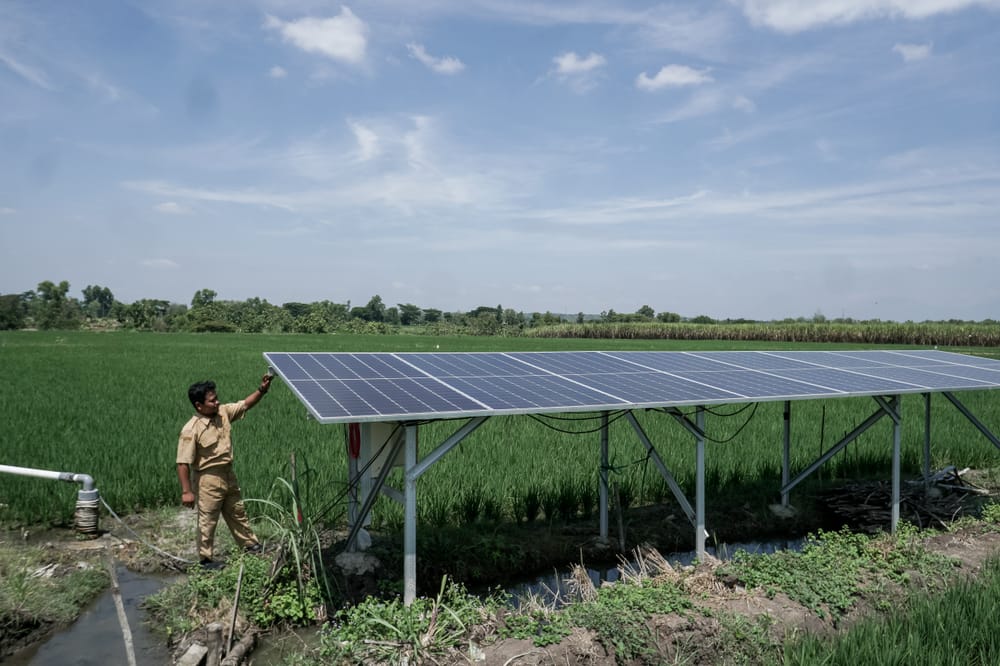 Permintaan Tinggi, Obligasi Ekonomi Hijau Indonesia Laris