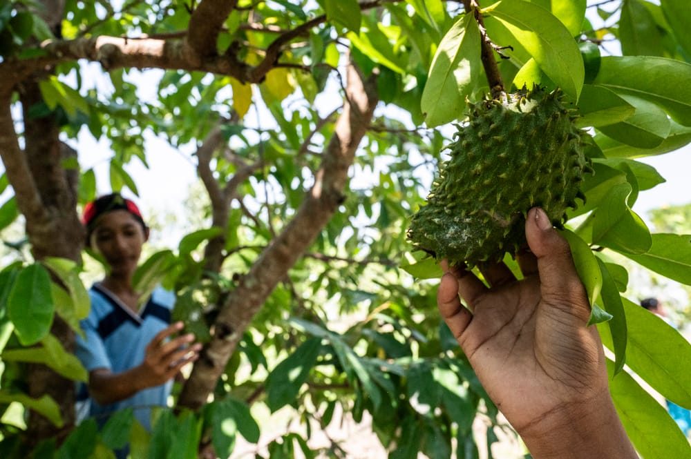Industri Agro Jadi Penyokong Utama Pertumbuhan Ekonomi Nasional