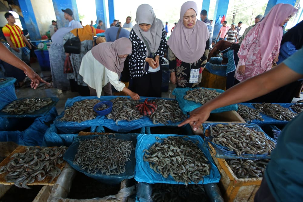 Industri Udang Bersiasat Hadapi Kewajiban Sertifikasi Ekspor ke Amerika