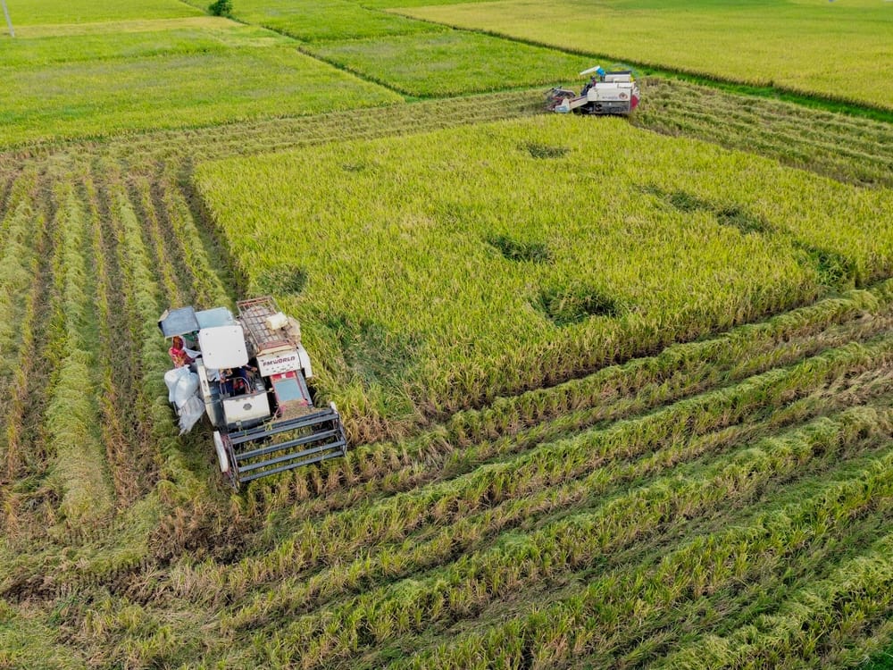 Menilik Inovasi Teknologi Alat Pertanian untuk Genjot Produktivitas