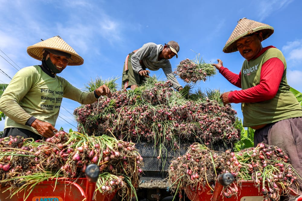 Agriculture and Plantation Sector Notes for 2025