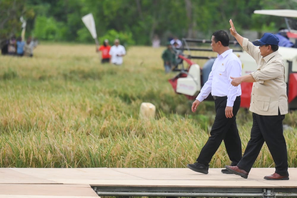 Government Claims Official Food Self-Sufficiency Achieved