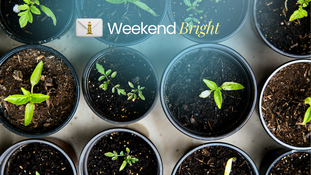 Perjalanan Karier 'Menteri Teh Botol' dan Kerja Bersama Dalam Tim