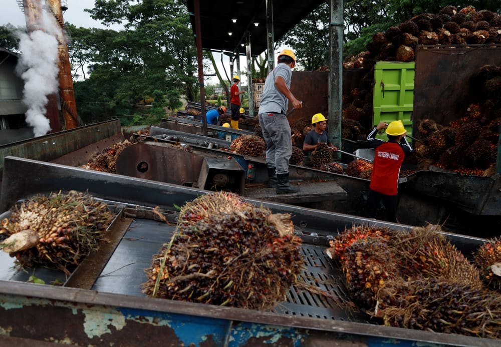 Menghitung Untung Rugi Hilirisasi Sawit (2)