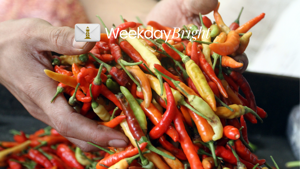 Indonesia Cari Sumber Alternatif  Rantai Pasok Baru