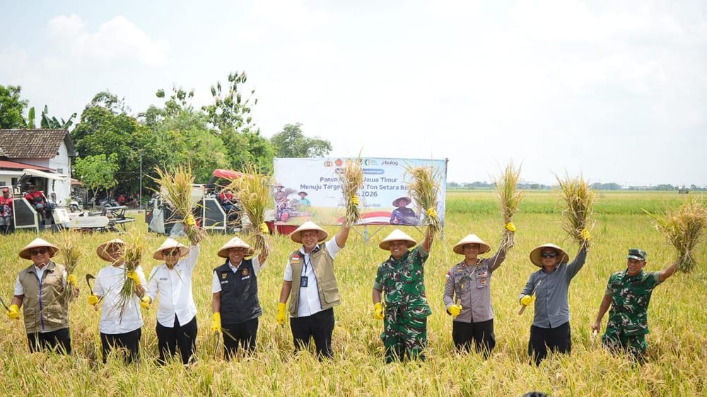 Beras Aman, Indonesia Percaya Diri Hadapi "El Nino Godzilla"