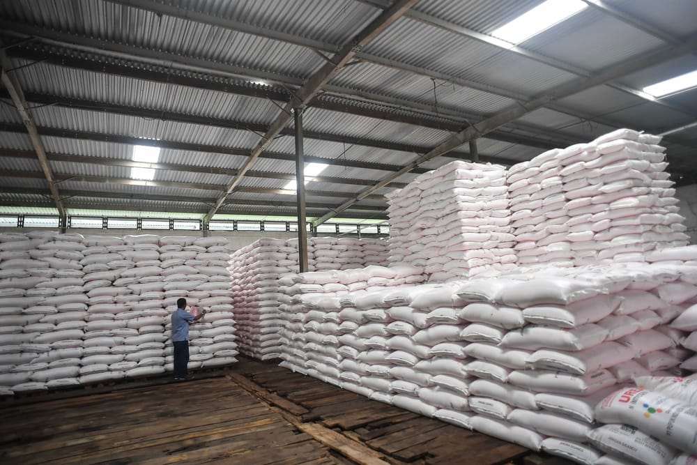 Cermati Rencana Ekspor Urea, Pengamat Ingatkan Kebutuhan Domestik