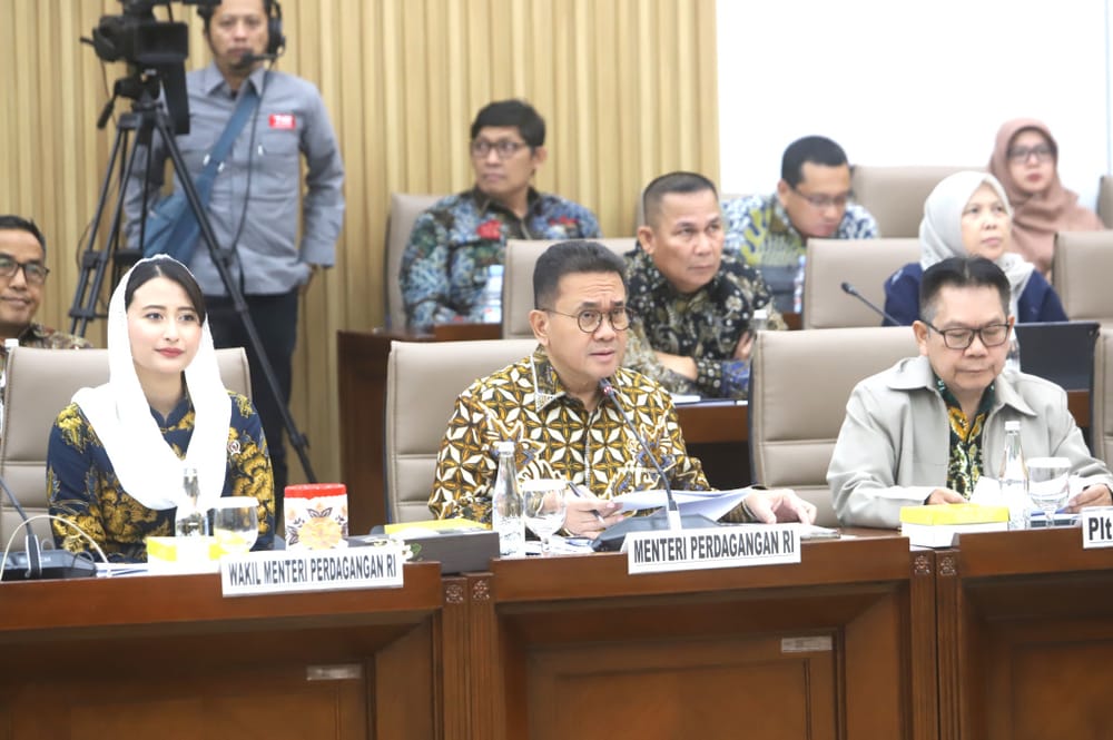 Pemerintah Revisi Aturan Perdagangan Digital, DPR Kritik Iklan E-Commerce