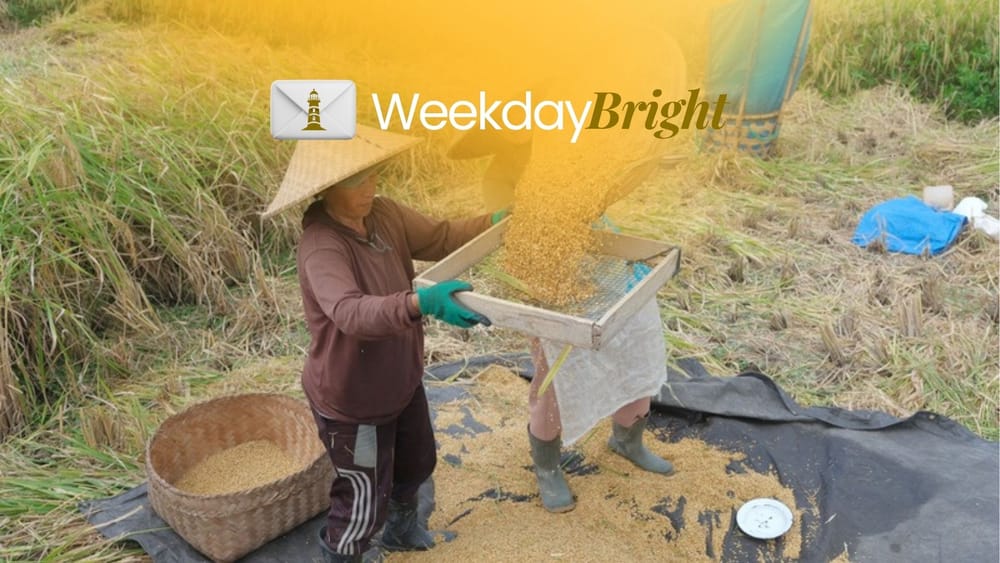 Ketahanan Pangan Hadapi El Nino dan Geliat Industri Mamin