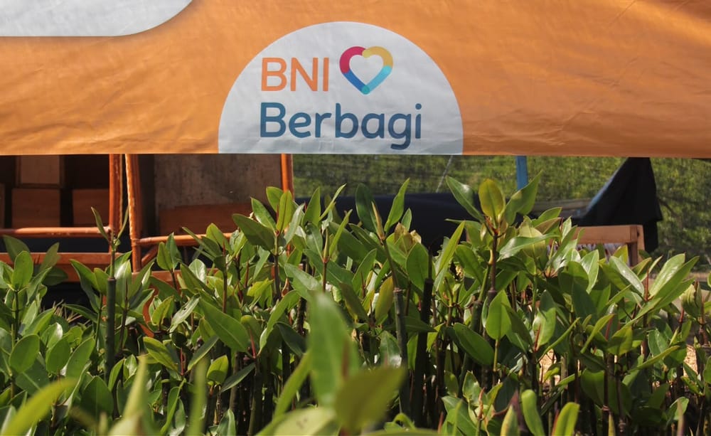 Hari Mangrove Sedunia, BNI Tanam 258 Ribu Bibit di Lima Wilayah