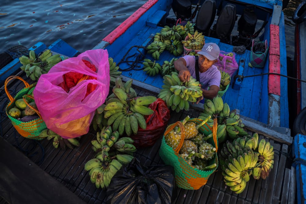Dongkrak Jualan Nanas dan Pisang di Pasar Jepang