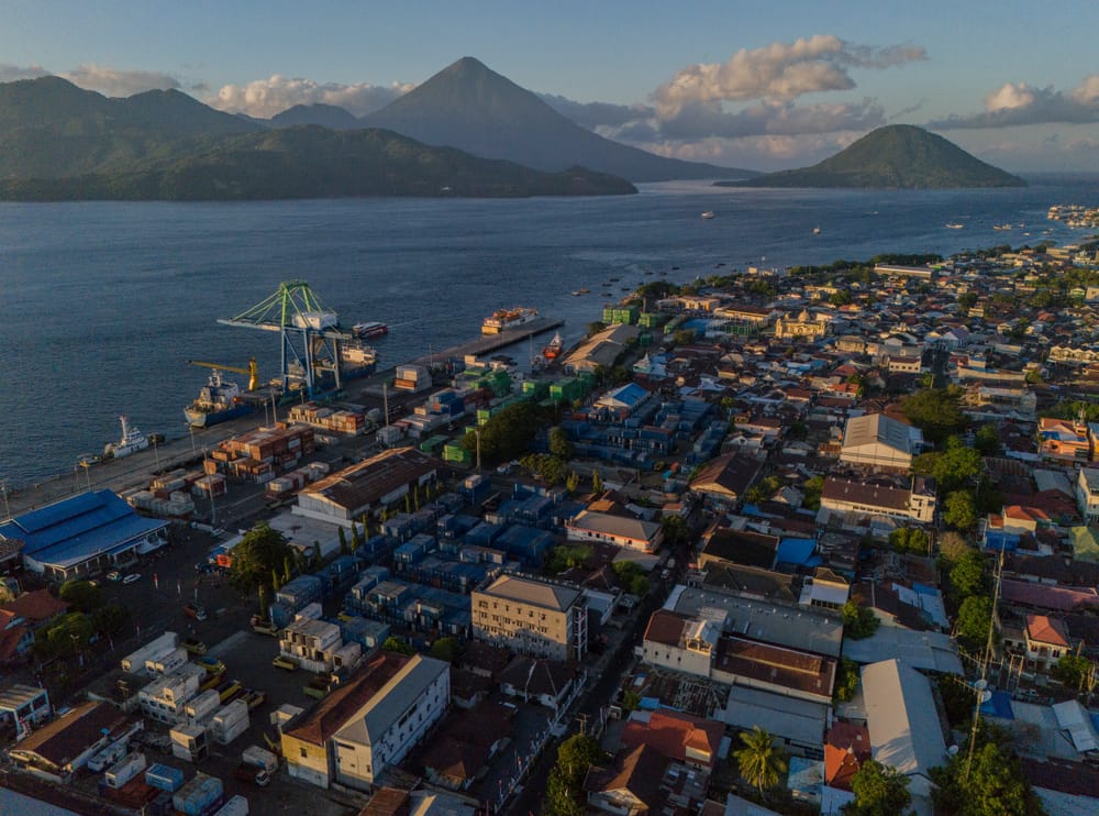 HUT ke-81 RI, Strategi Outward Looking Jadi Kunci Dorong Ekonomi Indonesia