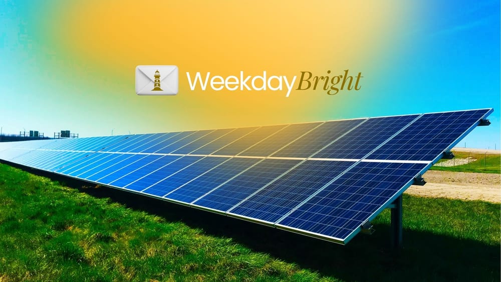 Industri Panel Surya, Menanti Nasib Emiten Rp 50, dan Obligasi Danantara