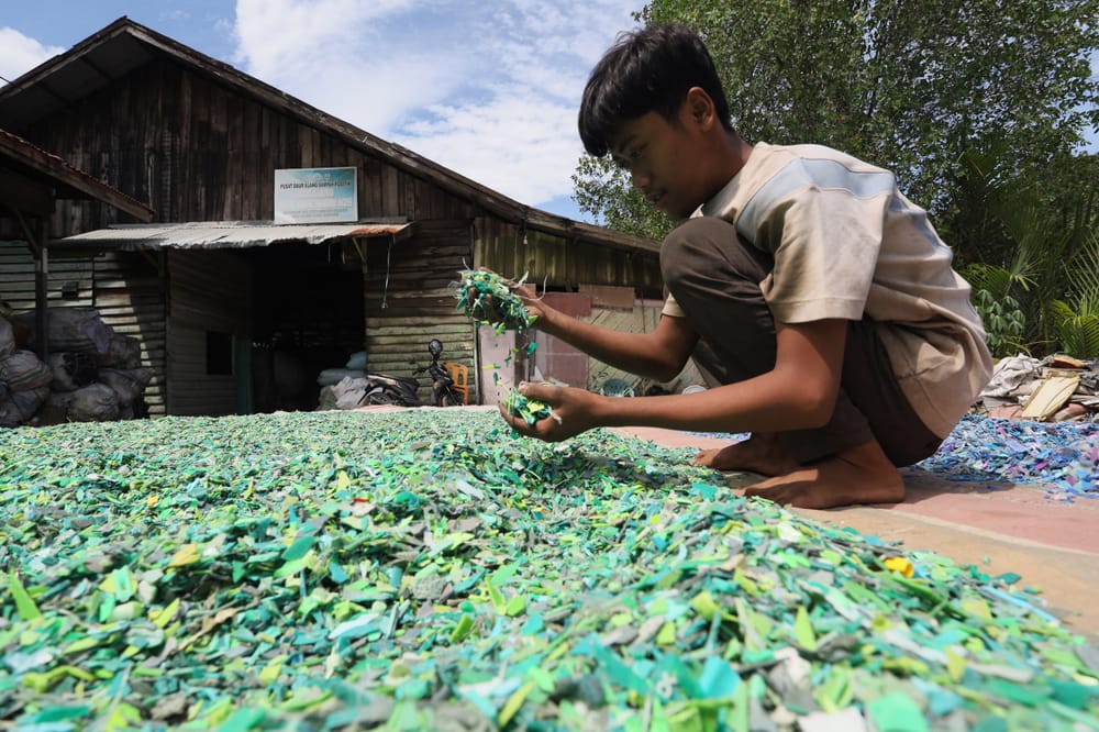 Ekonomi Hijau, Mitigasi Risiko, dan Usaha Berkelanjutan