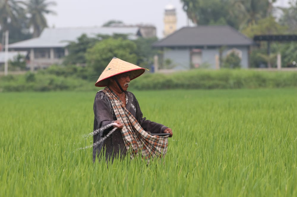Menyoal Kenaikan Harga di Tengah Swasembada 8 Komoditas Pangan