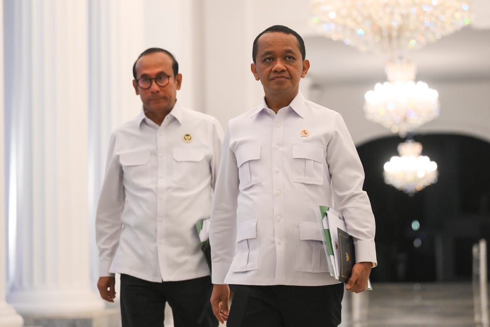 Mengukur Efektivitas Pembentukan Kemenko Hilirisasi dan Transisi Energi