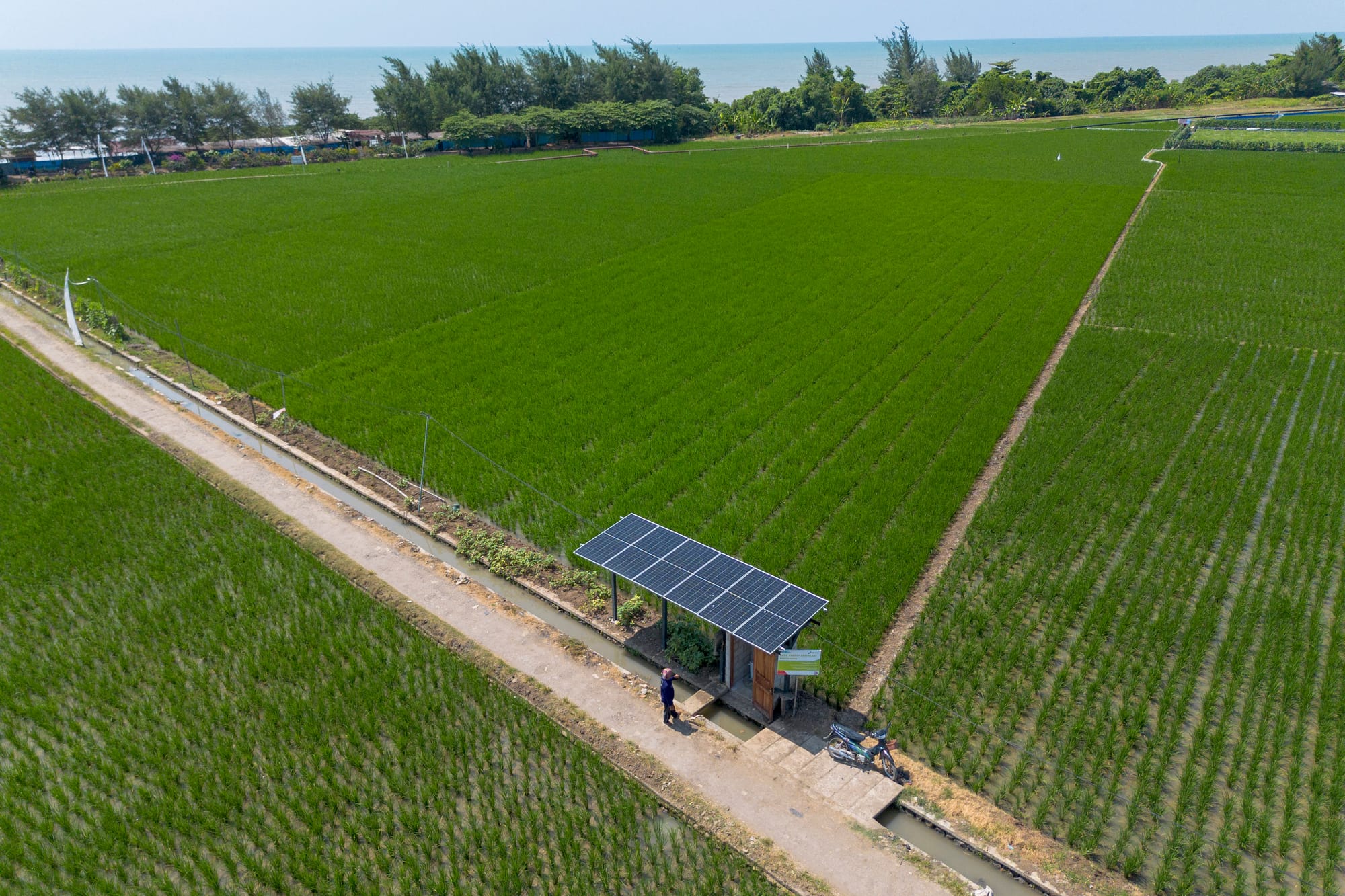 Mengukur Kesiapan Pembangunan PLTS 80 GW di 80.000 Koperasi Desa Merah Putih