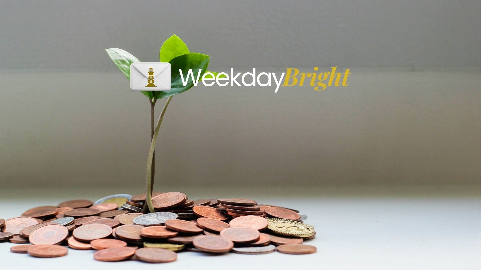 Mendorong Sektor Riil, Mobil Listrik, Industri Tekstil, dan Danantara