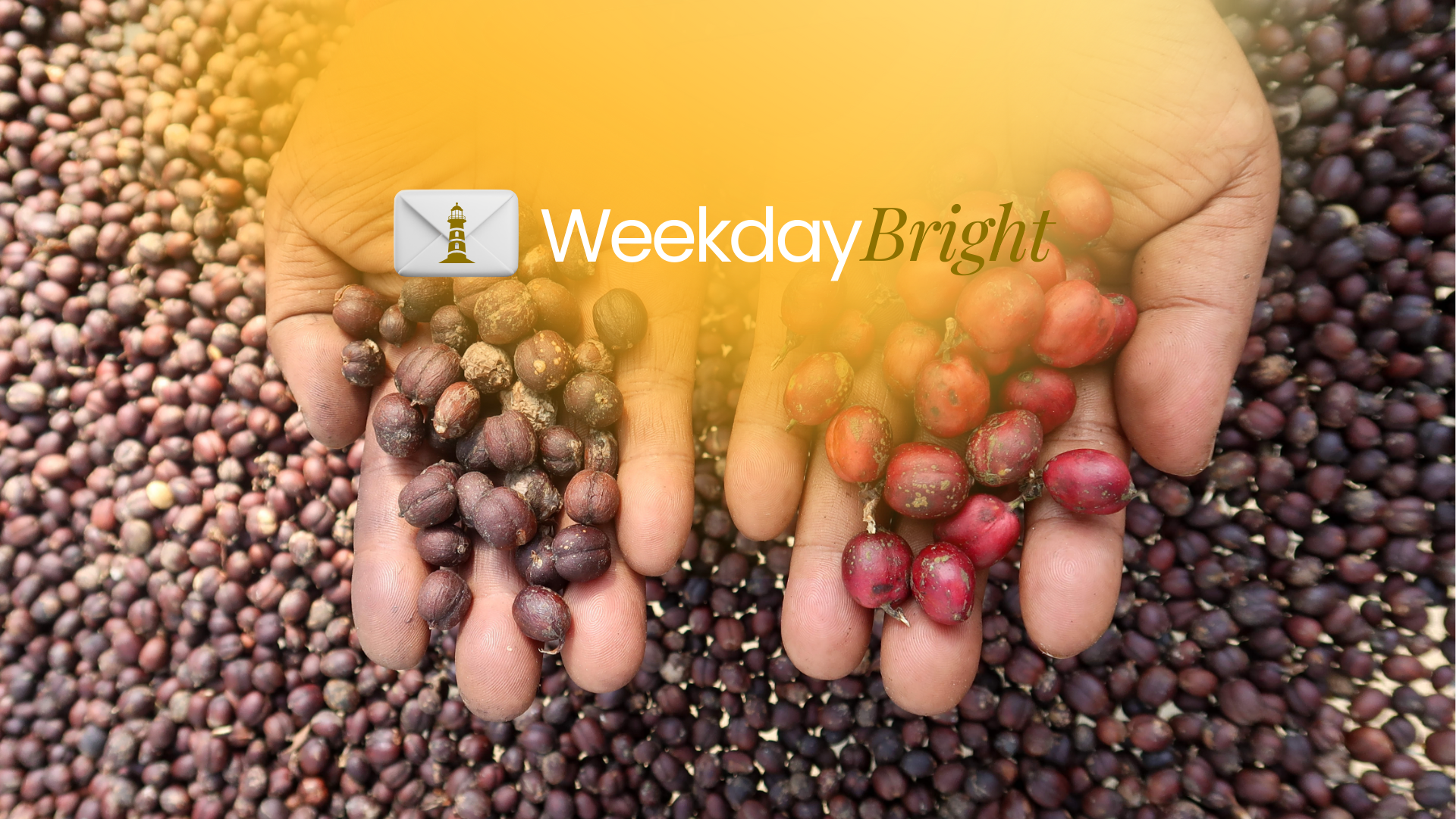 Tingkatkan Kepercayaan Wajib Pajak dan Kopi Desa Mendunia