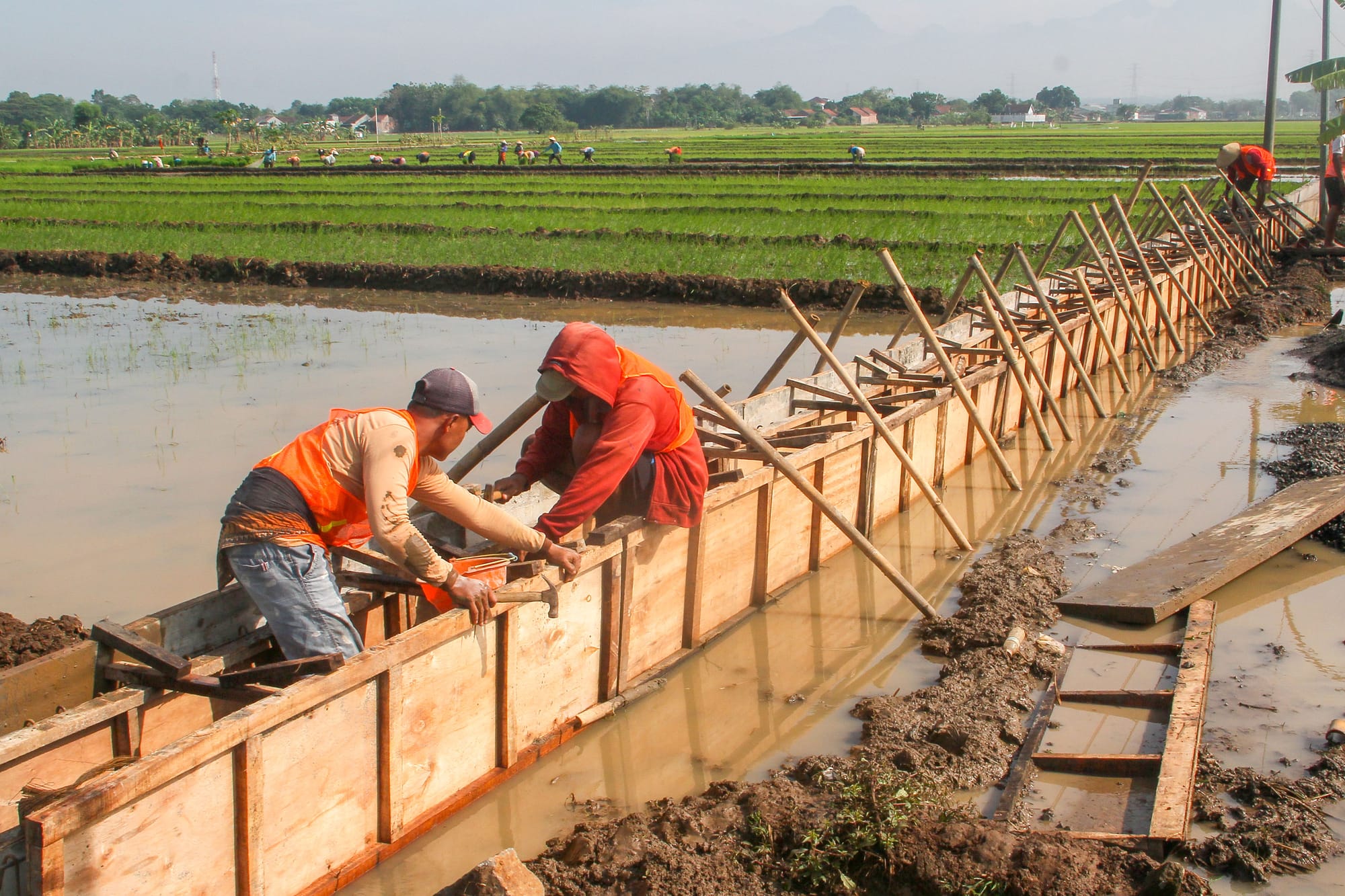 Dana Transfer Daerah Sebaiknya untuk Layanan Publik