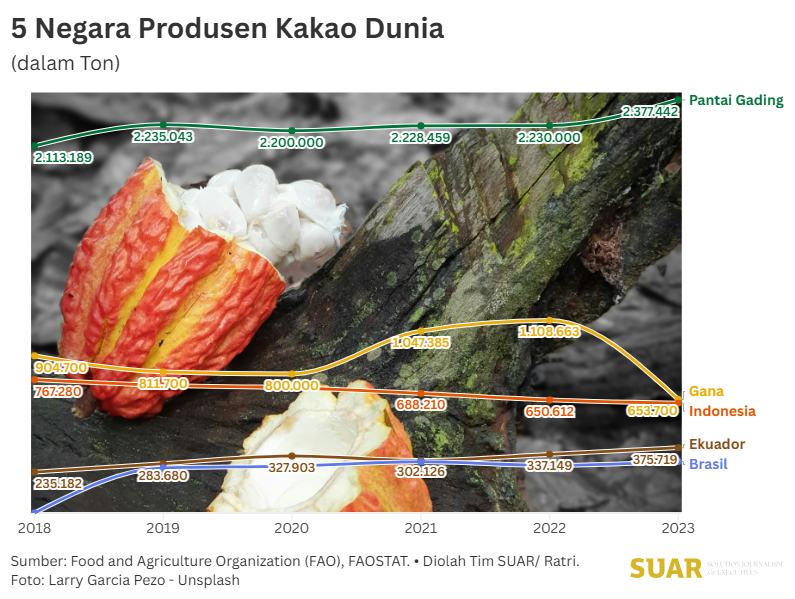 Atur Strategi agar Petani Tidak Buntung ketika Kakao Global Oversuplai