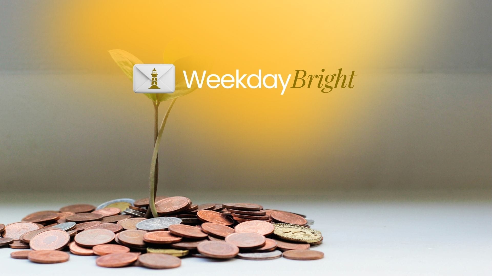 Optimalkan APBN 2026, Kredit dari Penempatan Rp 200 Triliun, Proyek Listrik Tenaga Sampah