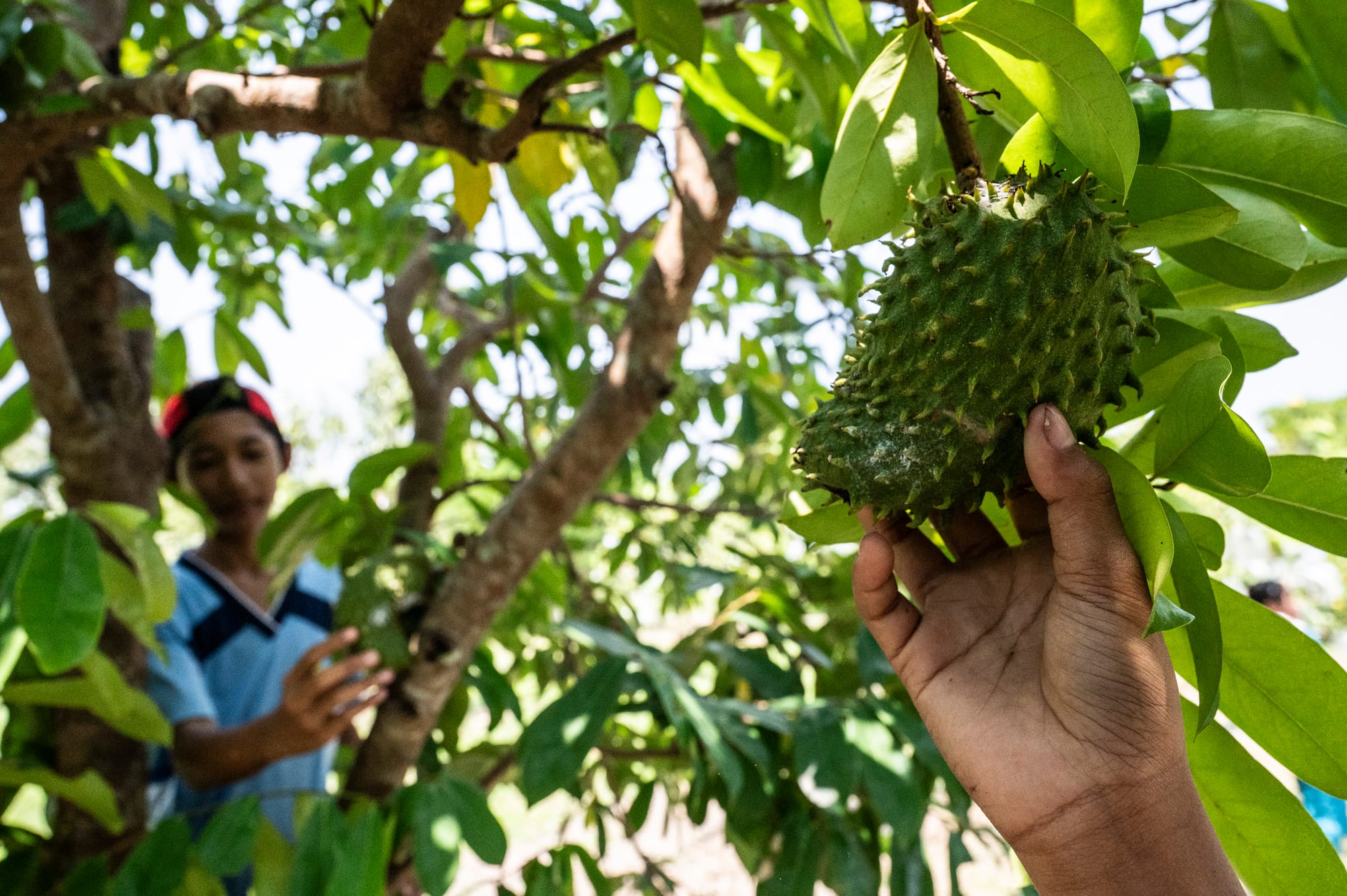 Agro Industry is the Main Support for National Economic Growth