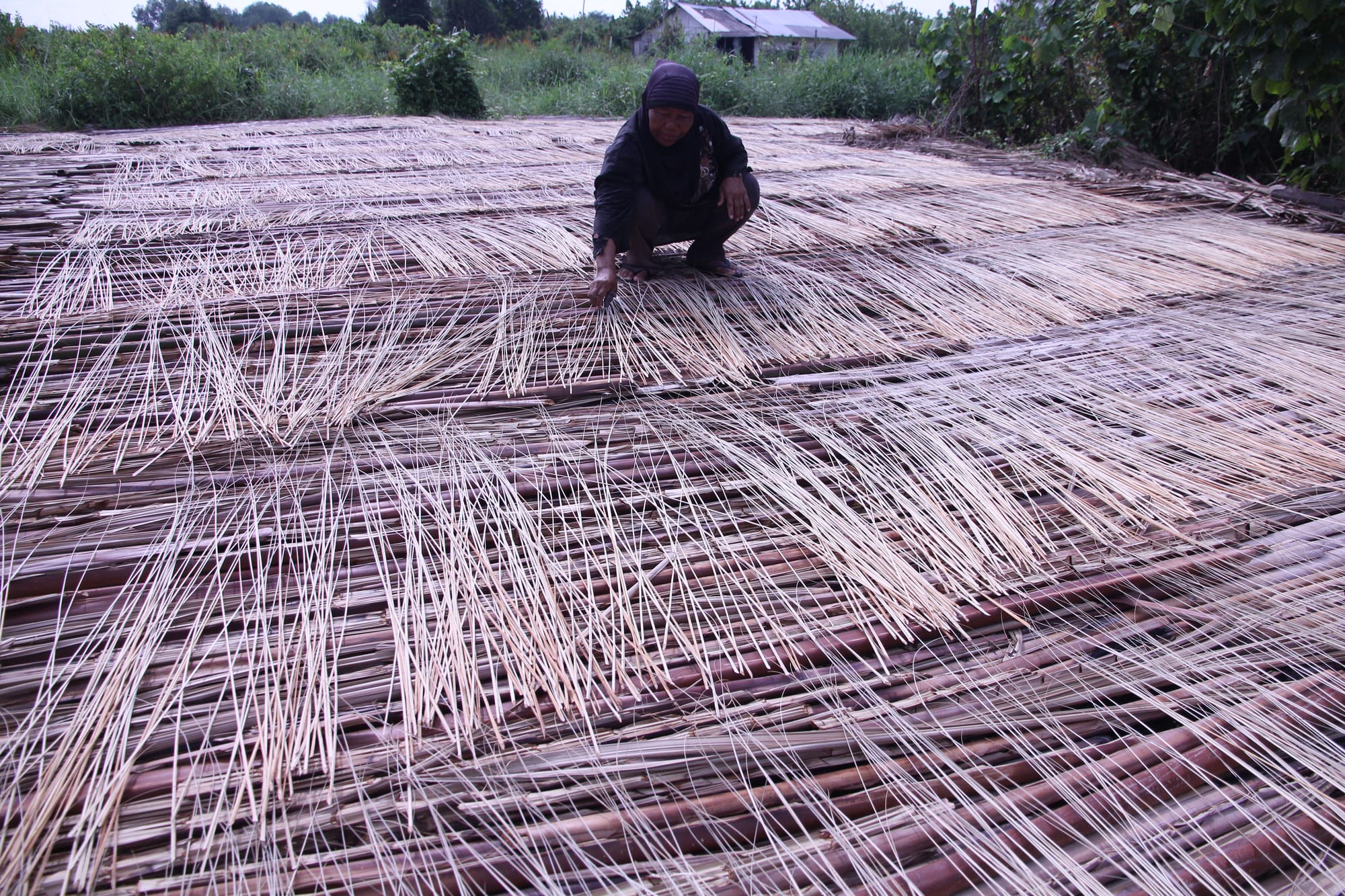 Ubah Limbah Jadi Laba, Ekspor Lidi Sawit Mendunia