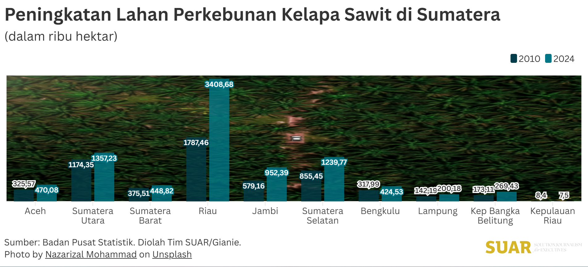 Perluasan Lahan Perkebunan Kelapa Sawit di Sumatera