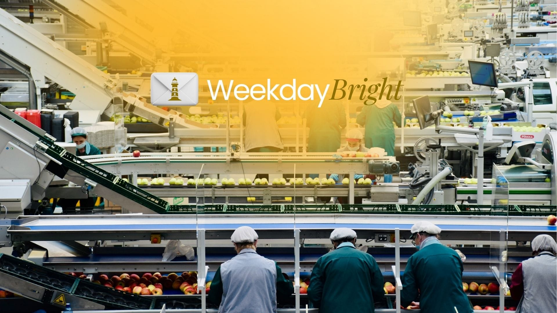 Manufaktur Menggeliat, Inflasi Terkendali, Neraca Dagang Surplus, Investasi KEK Melaju