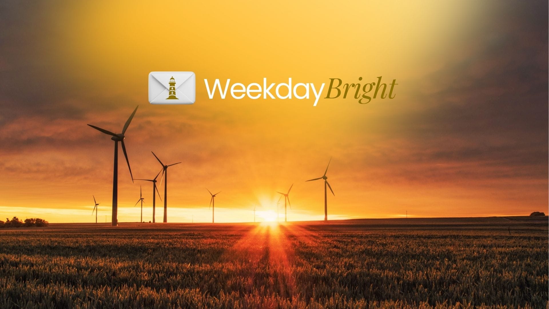 Ide Segar untuk Dorong Ekonomi 8%