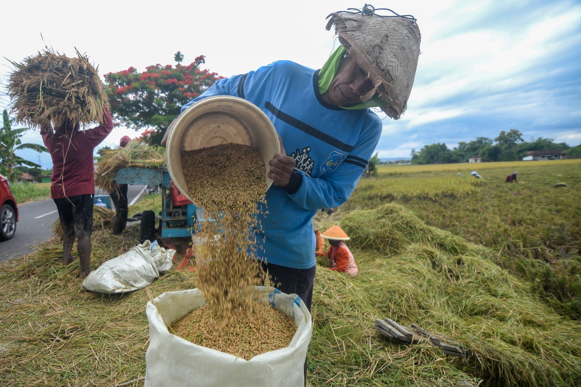 Inovasi Sepanjang Rantai Pasok Jadi Solusi Angkat Kesejahteraan Petani