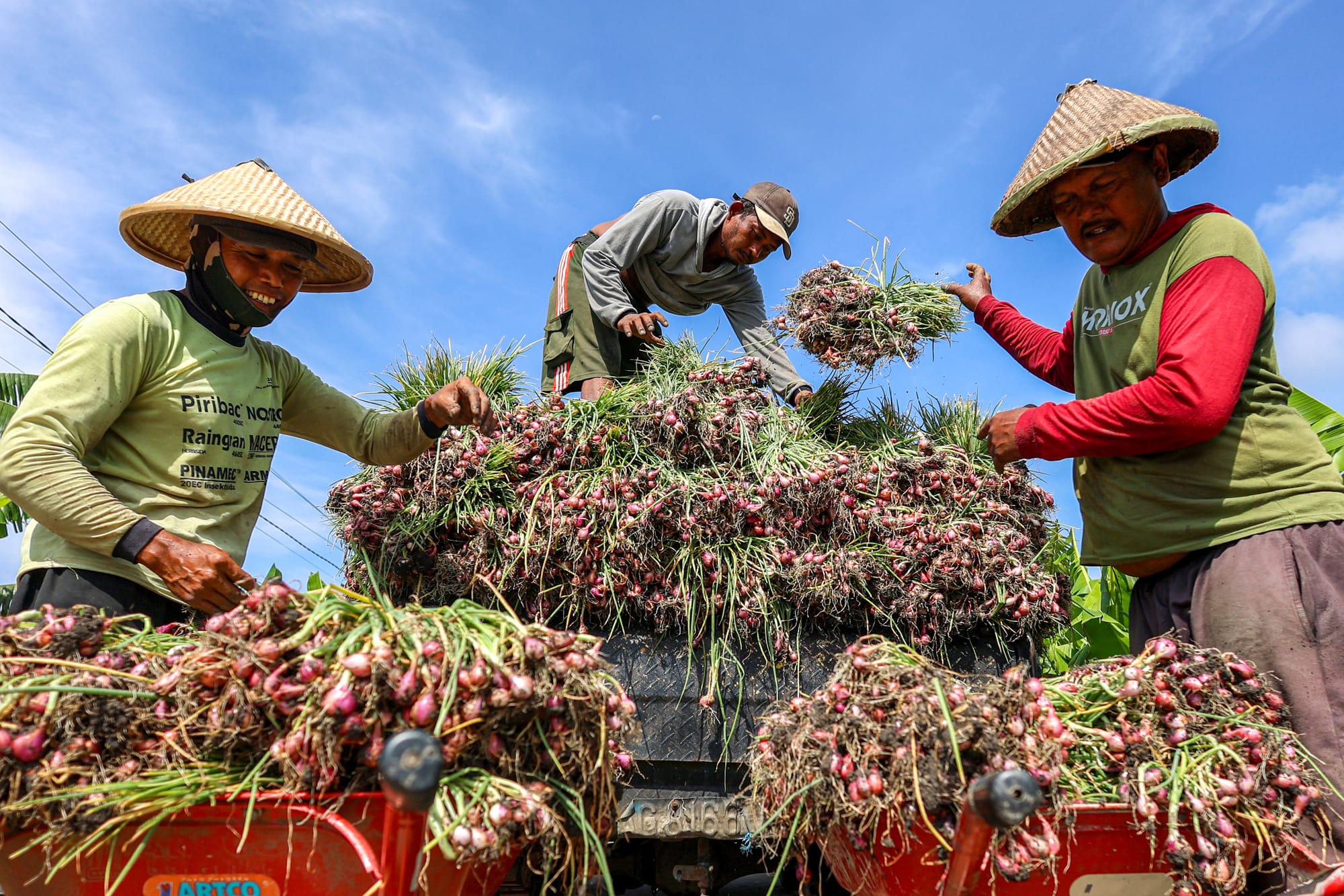 Agriculture and Plantation Sector Notes for 2025