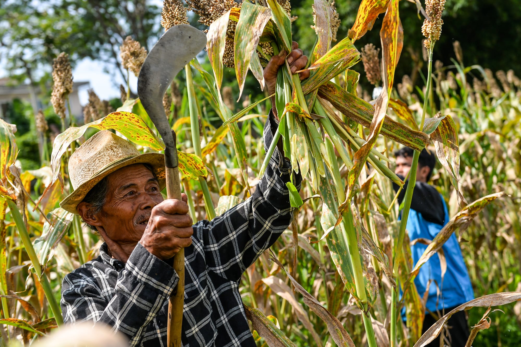Bioethanol Can Save the Country Rp 46.5 Trillion per Year in Foreign Exchange