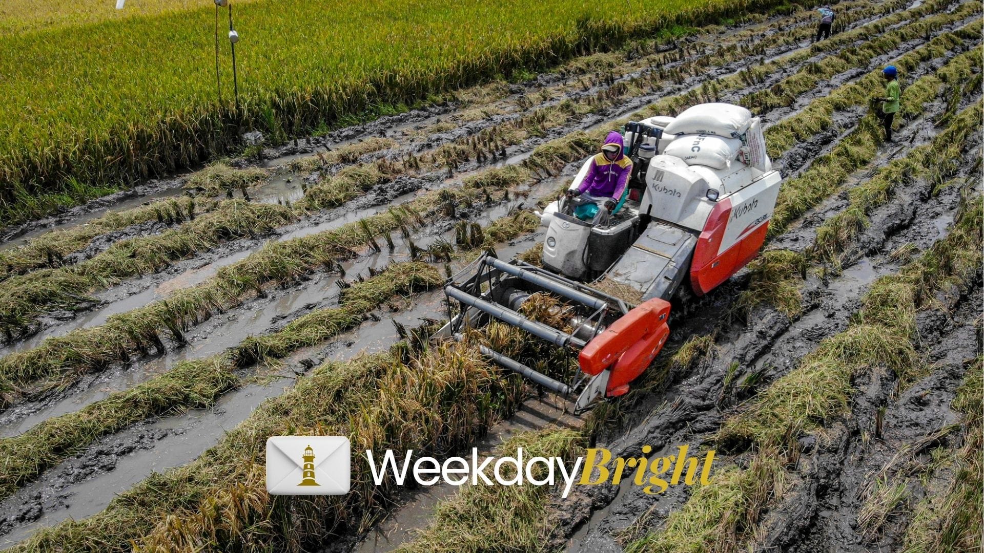 Swasembada Pangan, RUPSLB Himbara, dan Penanganan Bencana Sumatera