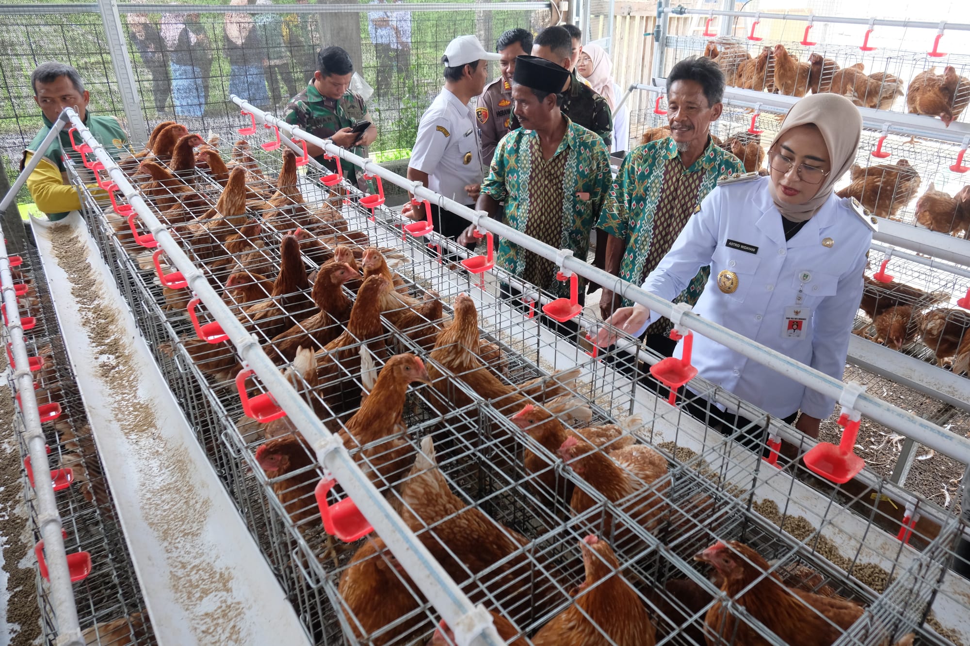 Menguatkan Peternakan Rakyat Bersatu (2)