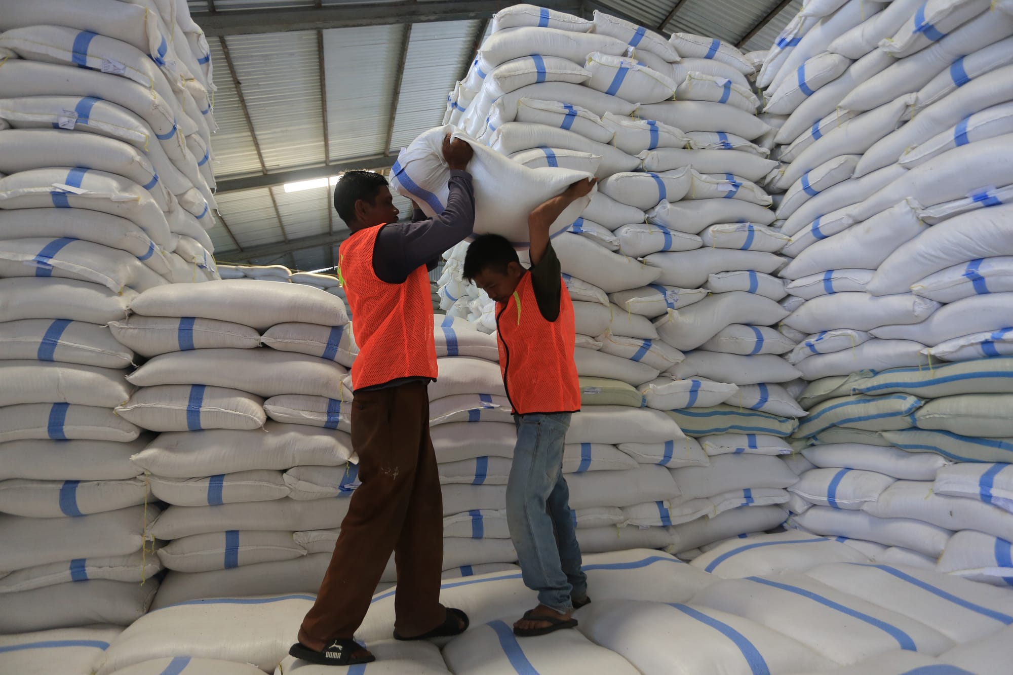 FAO: Harga Pangan Dunia Melandai di Akhir 2025