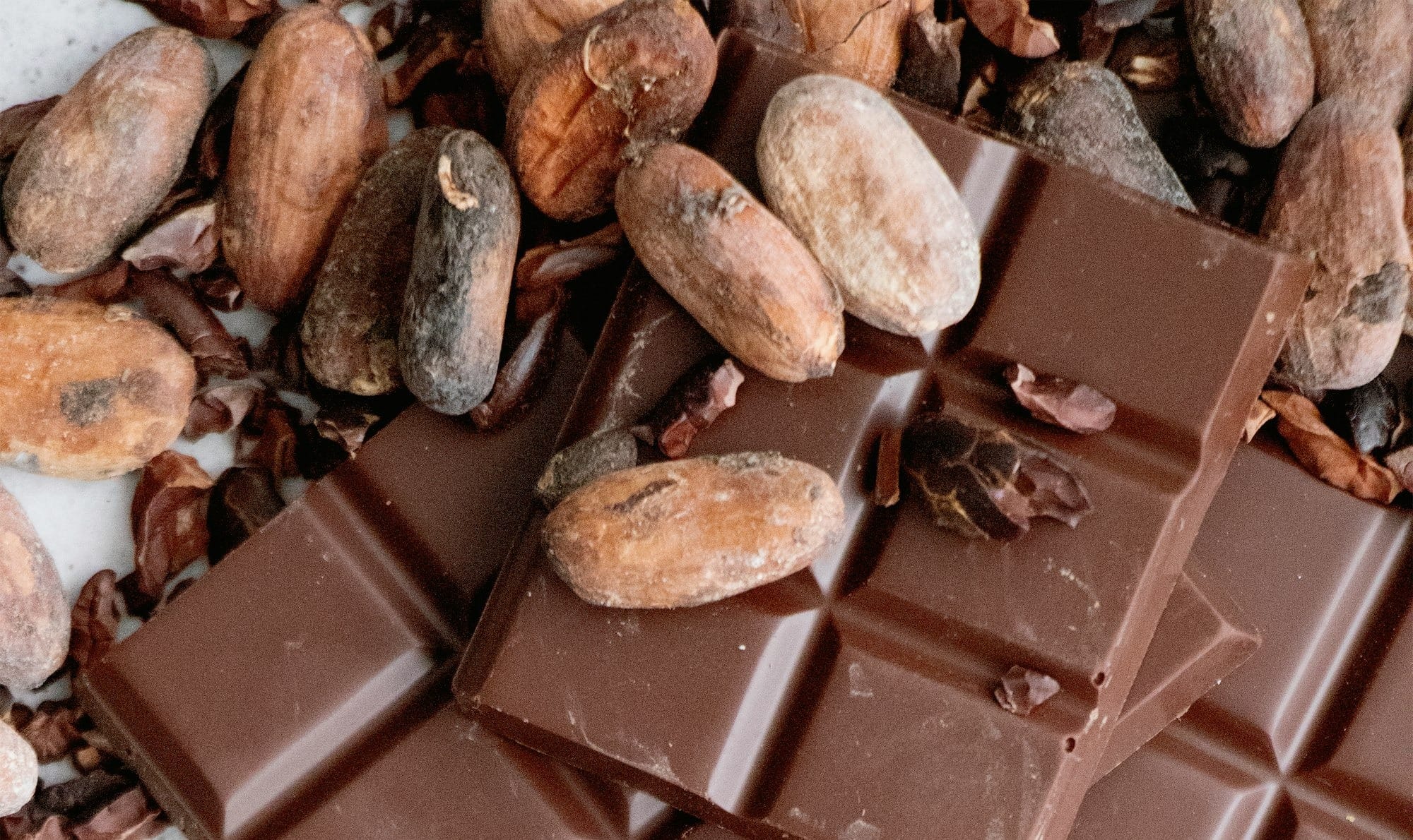 Ringkasan Eksekutif: Kebun Kakao Produktif, Cokelat Menangguk Devisa