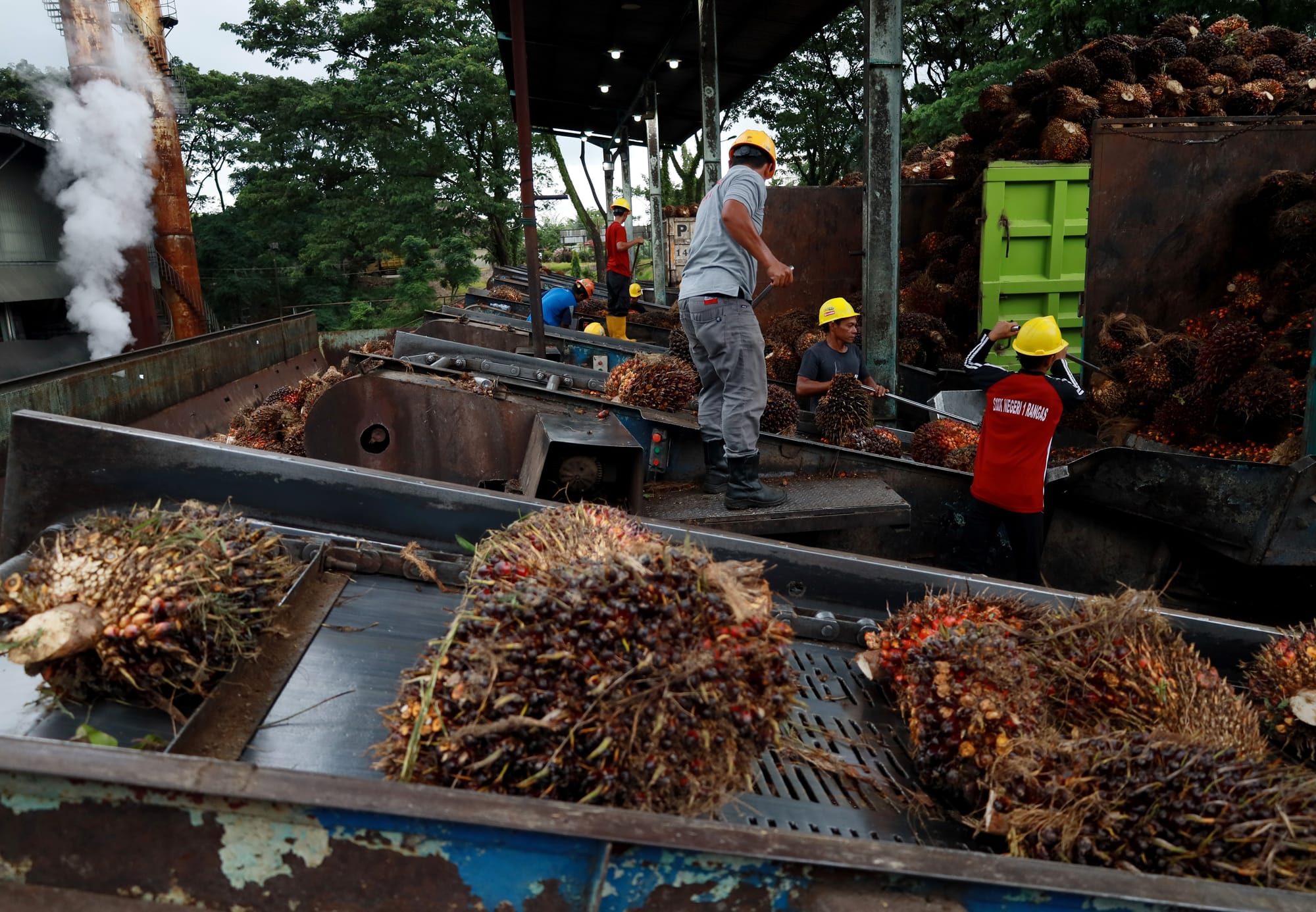 Menghitung Untung Rugi Hilirisasi Sawit (2)