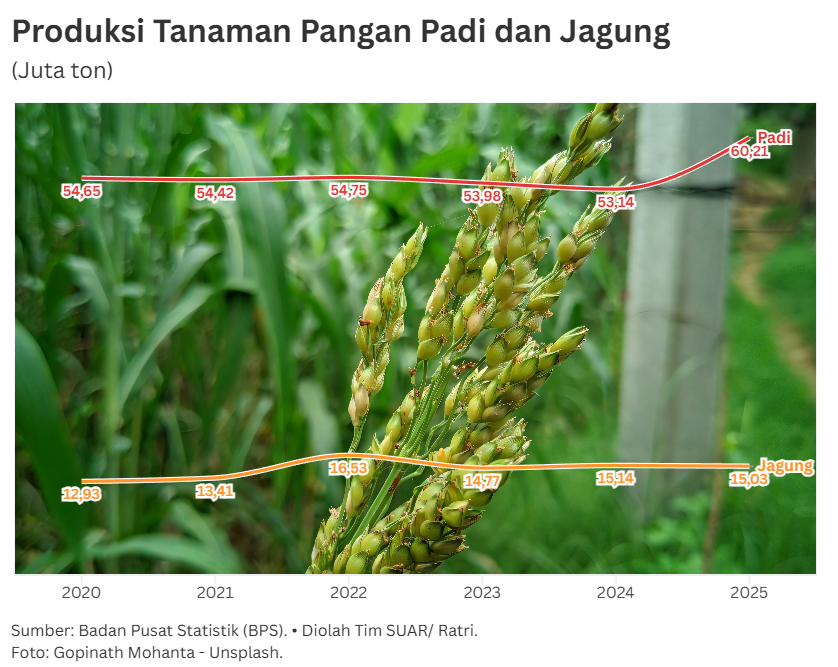 Menjaga Ketahanan Pangan di Tengah Ancaman El Niño