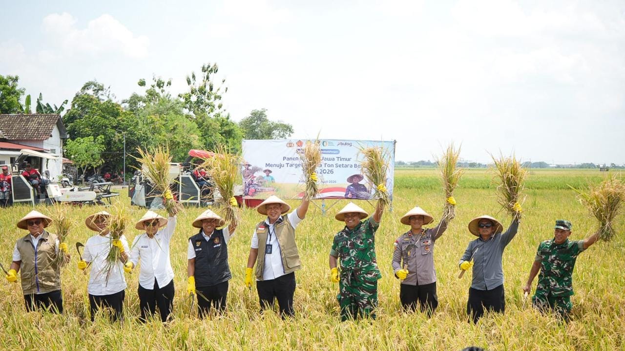 Beras Aman, Indonesia Percaya Diri Hadapi "El Nino Godzilla"