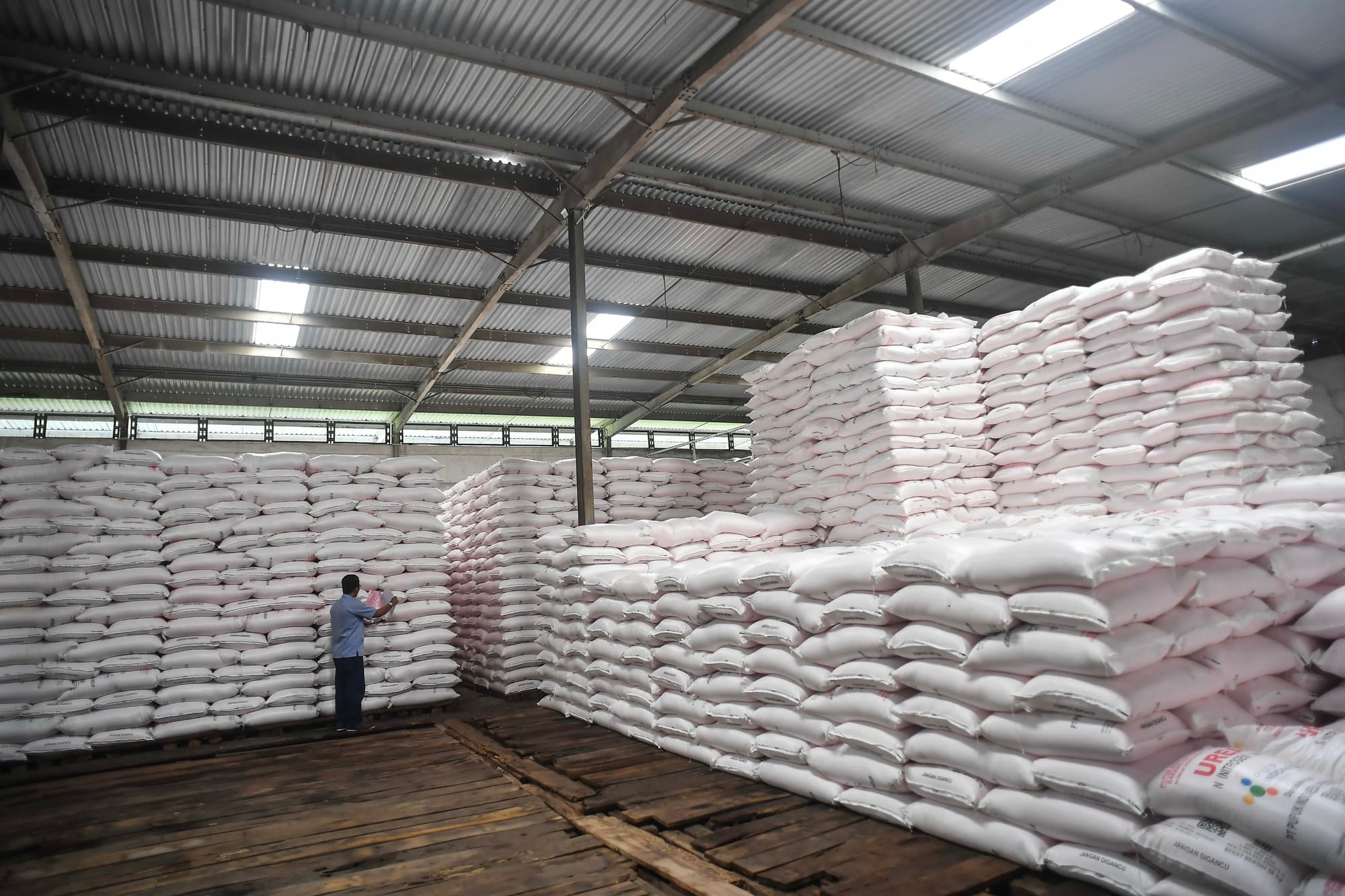 Cermati Rencana Ekspor Urea, Pengamat Ingatkan Kebutuhan Domestik