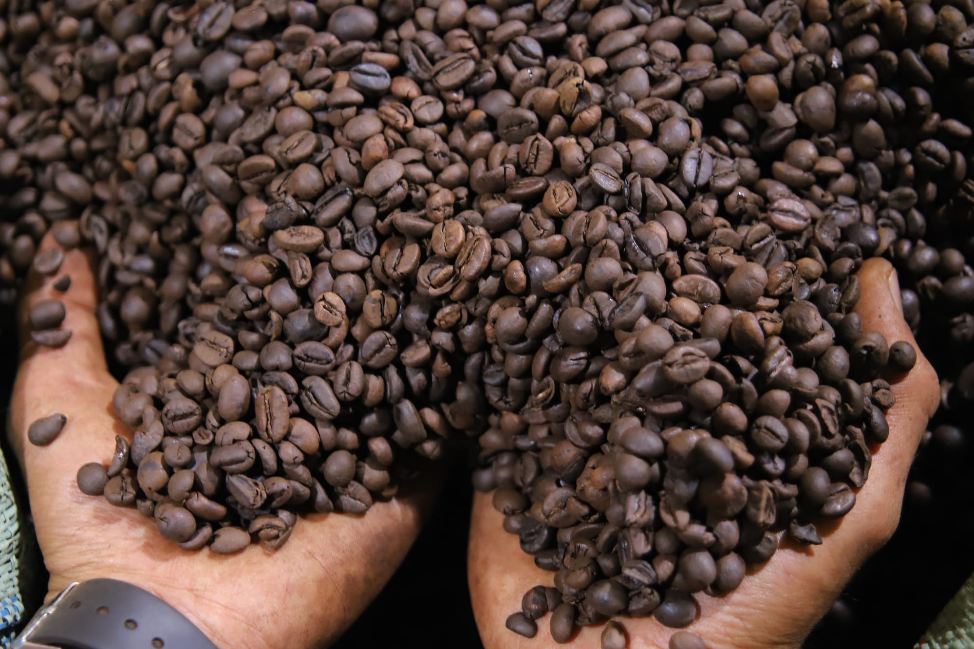 Pangsa Kopi RI di Jepang Baru 2,6%, Peluang Ekspor Masih Terbuka Lebar