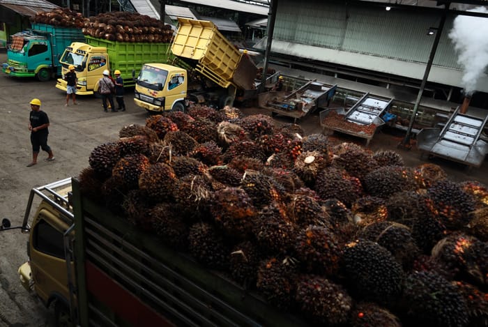 Kabar Baik, Sawit Indonesia Bebas Tarif Ke AS