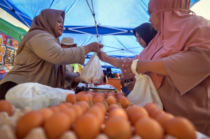 Ekspor Unggas dan Telur Dilarang Otoritas Arab Saudi, Pengusaha Fokus Produk Olahan