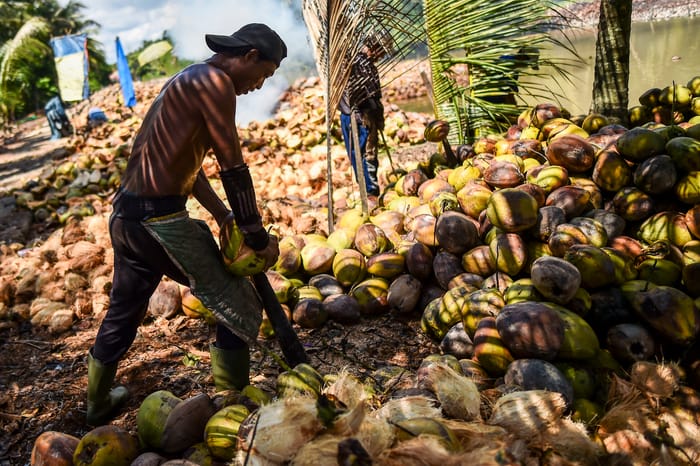 Prabowo Resmikan Groundbreaking 13 Proyek Hilirisasi Senilai Rp116 Triliun