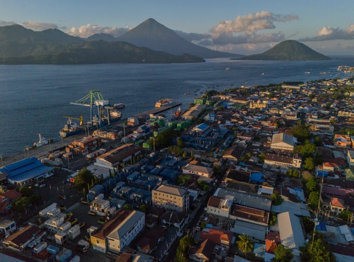 HUT ke-81 RI, Strategi Outward Looking Jadi Kunci Dorong Ekonomi Indonesia
