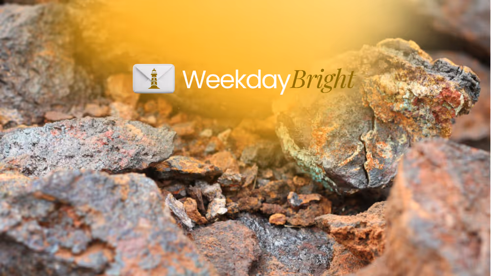 China's Business Relocation and Exports of Rare Earth Minerals, Shoes, and Seafood