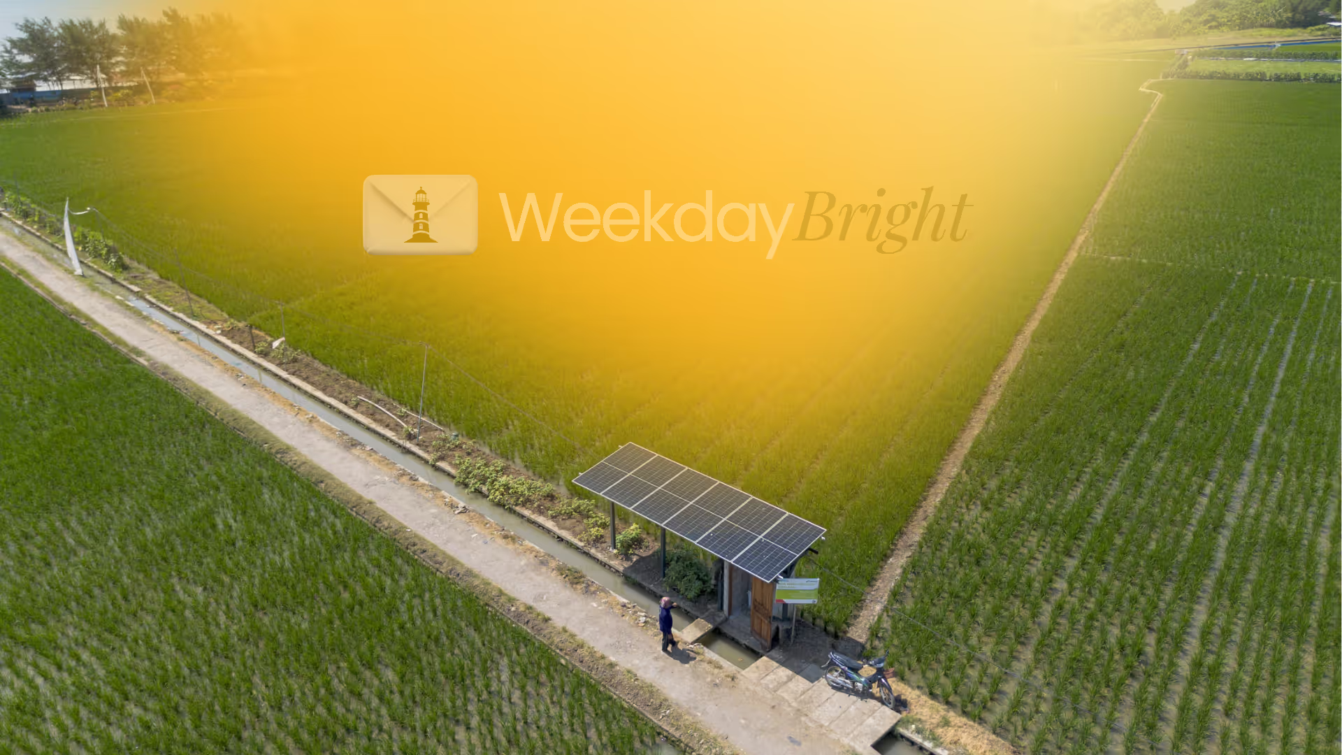 Domestic Project Opportunities and Global Market Openings